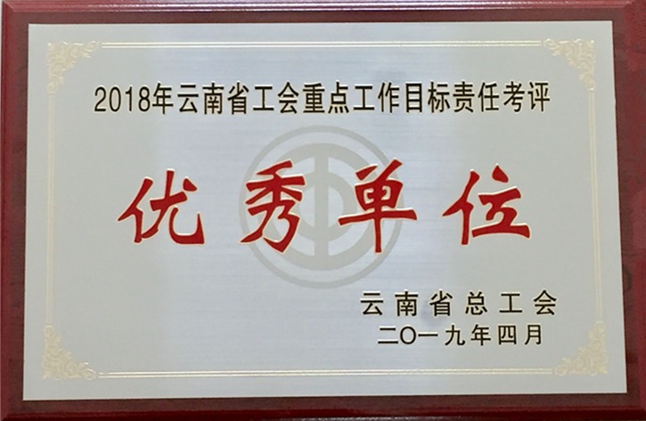 云南LETOU乐投集团工会荣获 “2018年度云南省工会沉点工作指标责任考评优良单元”