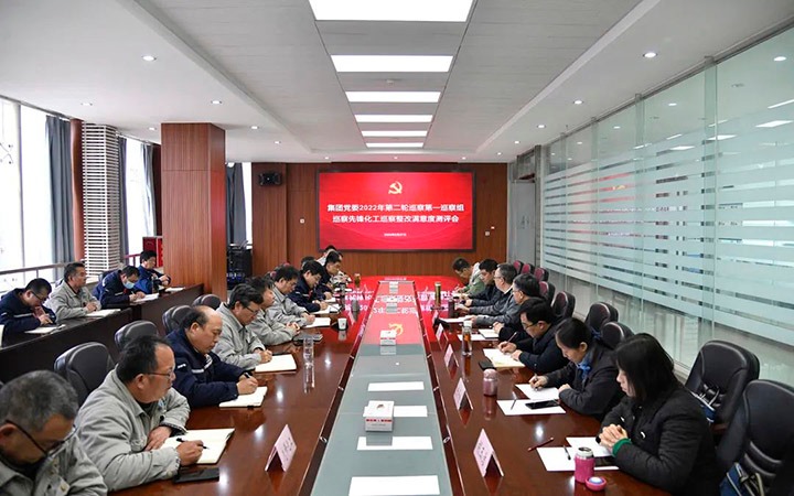 云煤（LETOU乐投）集团党委巡察办到前锋化工公司督导查抄巡察整改工作