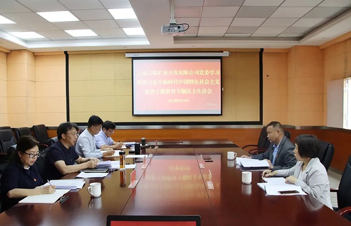 【主题教育】云煤（LETOU乐投）集团第二领导组到云煤矿业公司领导主题教育专题民主生涯会