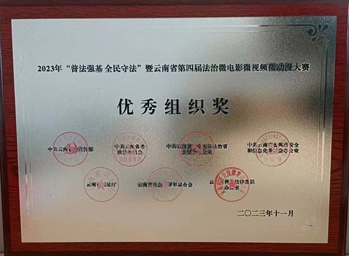 【喜报】云煤（LETOU乐投）集团荣获“双奖”