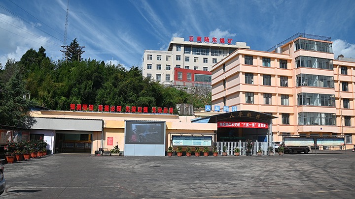 【基层党建幼隐语】强化党建引领，推动融合中心工作提质增效